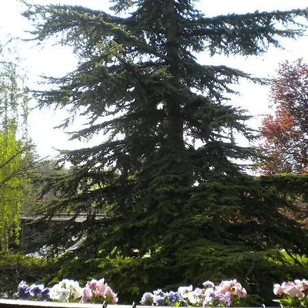 Aux Marguerites *
