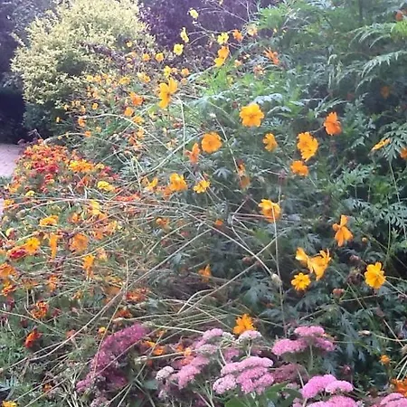Aux Marguerites