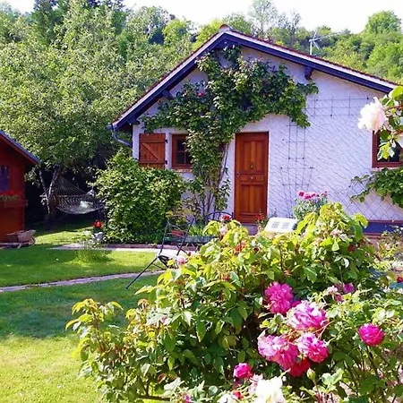 Aux Marguerites *