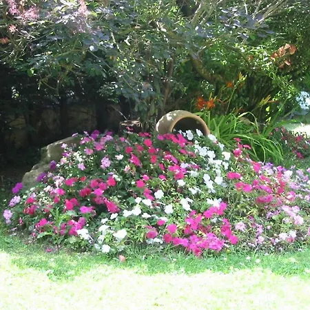 Aux Marguerites