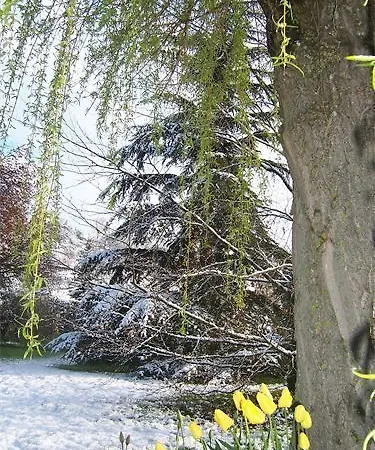 Aux Marguerites Sainte-Genevieve-les-Gasny